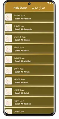 القرآن الكريم - أحمد العجمي - بدون انترنت android App screenshot 19